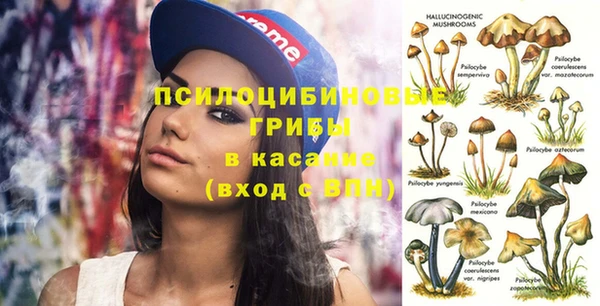 дживик Аркадак