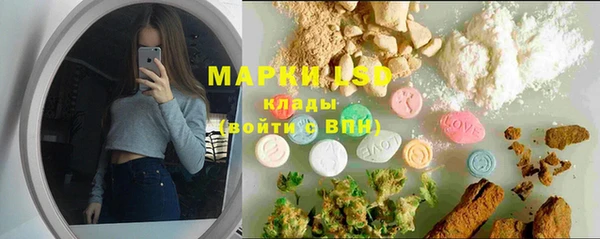 дживик Аркадак