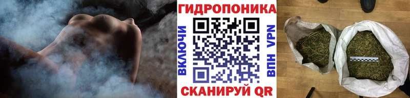 Бошки марихуана конопля  Новопавловск 